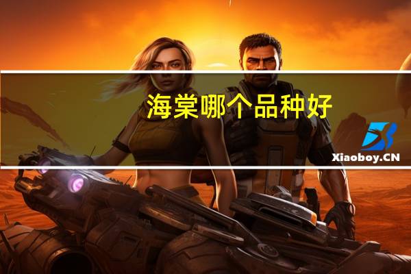 海棠哪个品种好