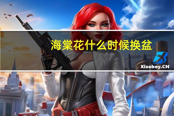 海棠花什么时候换盆