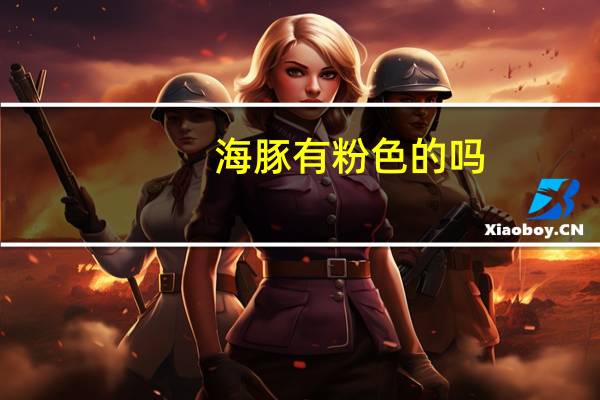 海豚有粉色的吗