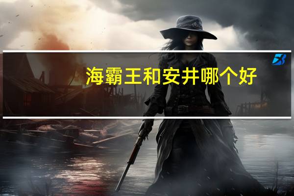 海霸王和安井哪个好