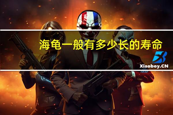 海龟一般有多少长的寿命