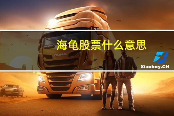 海龟股票什么意思