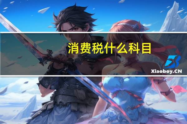 消费税什么科目