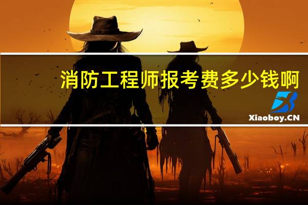 消防工程师报考费多少钱啊