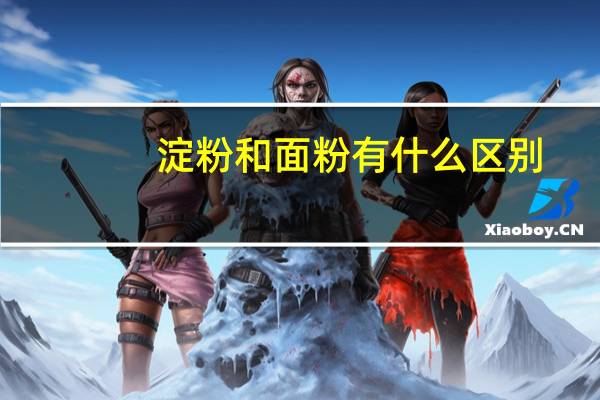 淀粉和面粉有什么区别