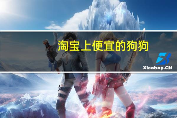 淘宝上便宜的狗狗