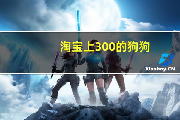 淘宝上300的狗狗