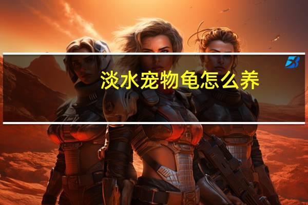 淡水宠物龟怎么养
