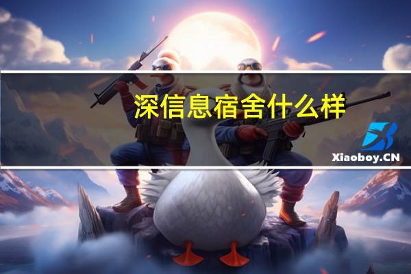 深信息宿舍什么样