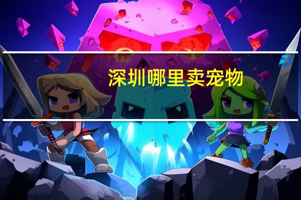 深圳哪里卖宠物