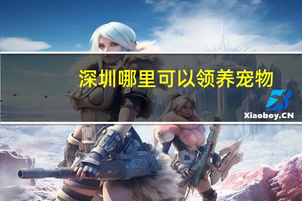 深圳哪里可以领养宠物