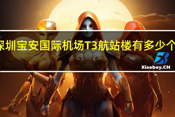 深圳宝安国际机场T3航站楼有多少个登机口