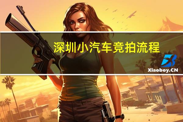 深圳小汽车竞拍流程