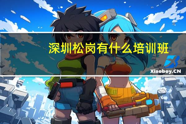 深圳松岗有什么培训班