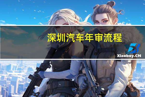 深圳汽车年审流程