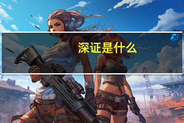 深证是什么