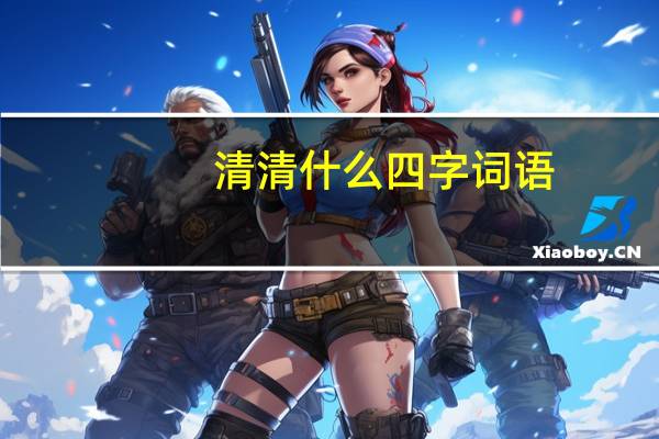 清清什么四字词语
