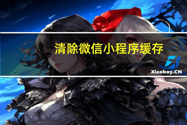 清除微信小程序缓存