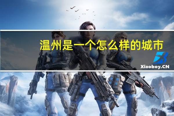 温州是一个怎么样的城市