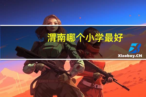 渭南哪个小学最好