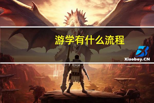 游学有什么流程