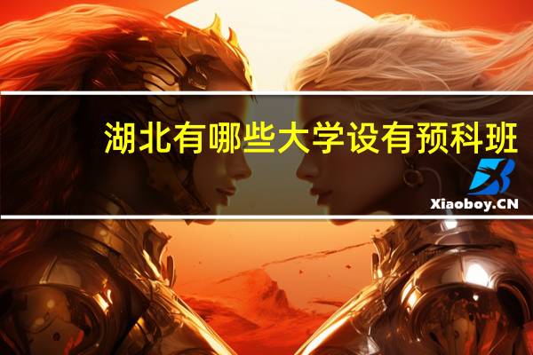 湖北有哪些大学设有预科班