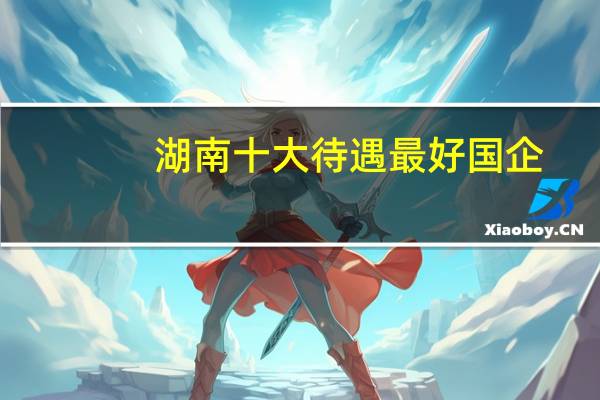 湖南十大待遇最好国企
