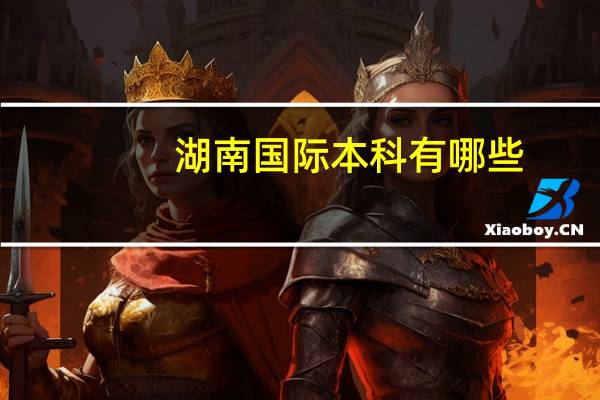 湖南国际本科有哪些