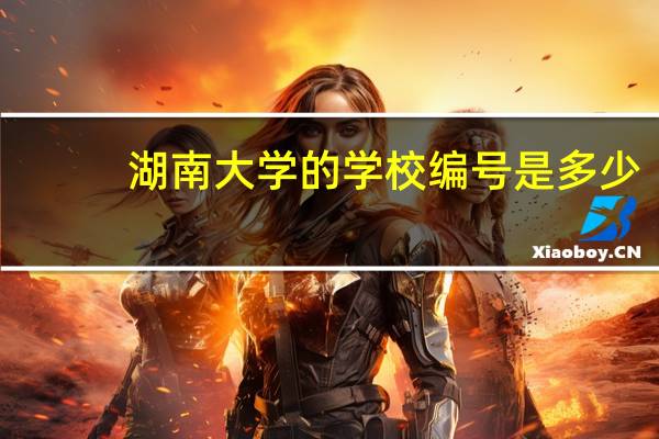 湖南大学的学校编号是多少