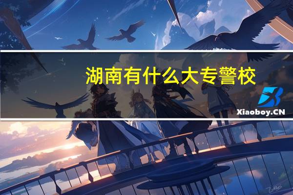 湖南有什么大专警校