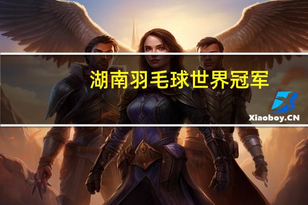 湖南羽毛球世界冠军