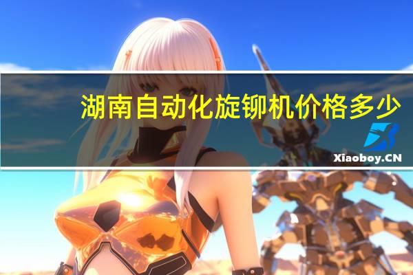 湖南自动化旋铆机价格多少
