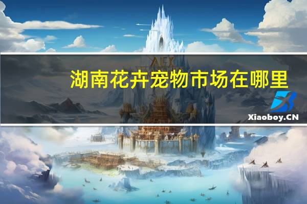 湖南花卉宠物市场在哪里