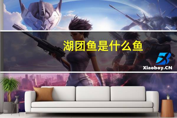 湖团鱼是什么鱼