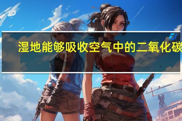 湿地能够吸收空气中的二氧化碳吗