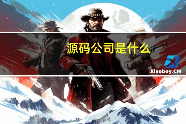 源码公司是什么