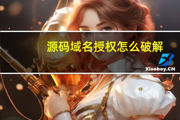 源码域名授权怎么破解
