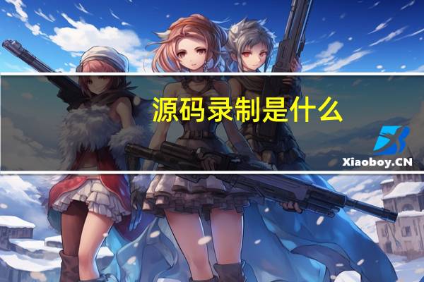 源码录制是什么