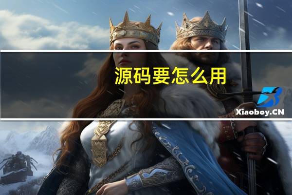 源码要怎么用