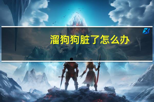溜狗狗脏了怎么办
