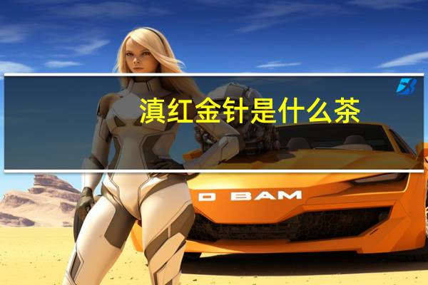 滇红金针是什么茶