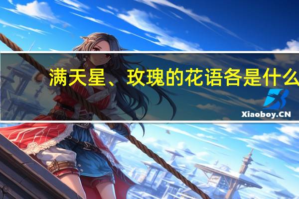 满天星、玫瑰的花语各是什么