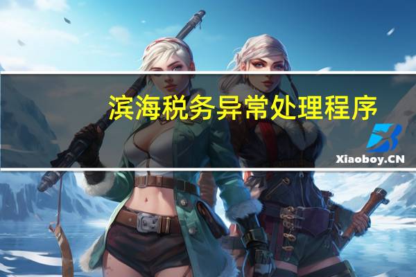 滨海税务异常处理程序