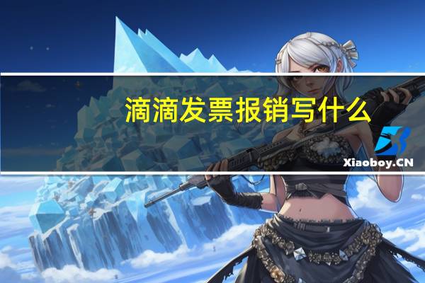 滴滴发票报销写什么