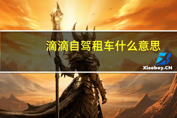 滴滴自驾租车什么意思
