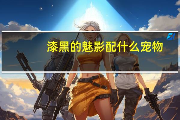 漆黑的魅影配什么宠物
