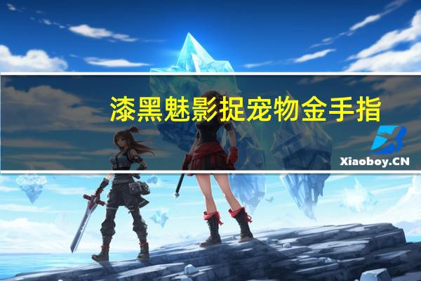 漆黑魅影捉宠物金手指