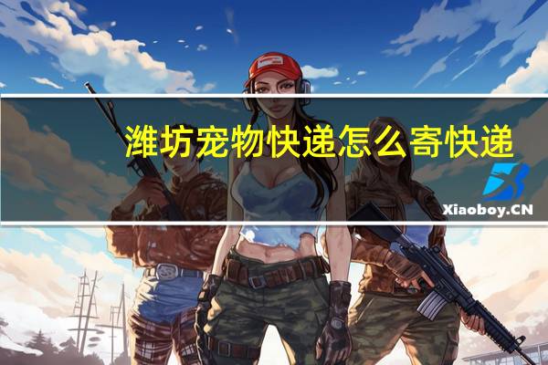 潍坊宠物快递怎么寄快递