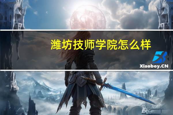 潍坊技师学院怎么样