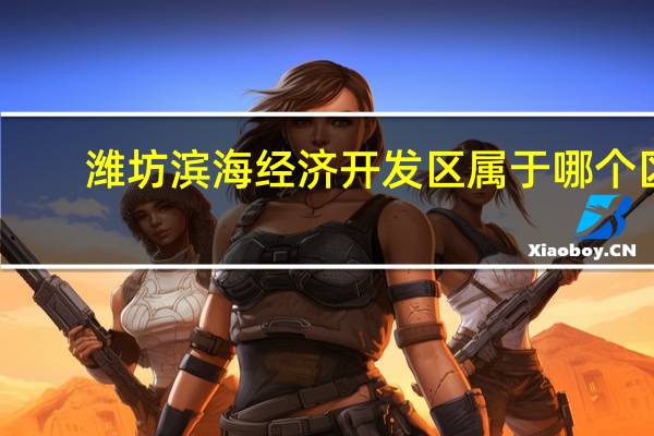潍坊滨海经济开发区属于哪个区
